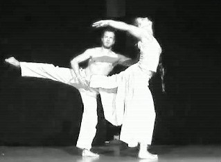 Direkt zum Portfolio